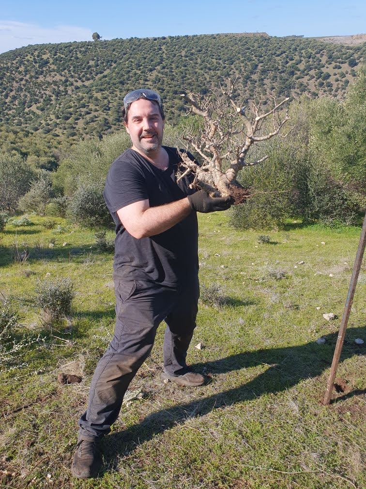 Max collecting a bonsai